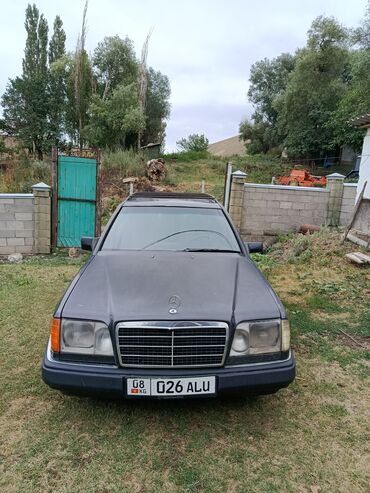 активные колонки: Mercedes-Benz E-Class: 1994 г., 2.2 л, Автоматтык, Газ, Универсал