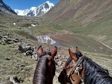 спортивный костюм детский: Horseback riding in the mountains on the weekend. Transfer included