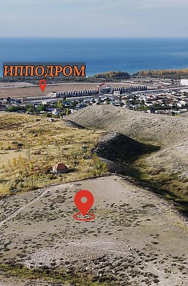 куры для гриля: 8 соток, Для бизнеса, Красная книга, Договор купли-продажи — 5