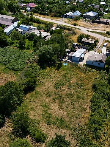 Недвижимость: 10 соток, Для строительства, Договор купли-продажи — 3