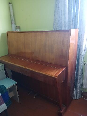 gitar pedal: Oktaba upright piano - Model: Oktaba, akustik dik (upright) piano - — 1