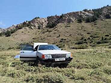 qm 3: Audi 100: 1987 г., 2.2 л, Механика, Бензин, Седан — 5