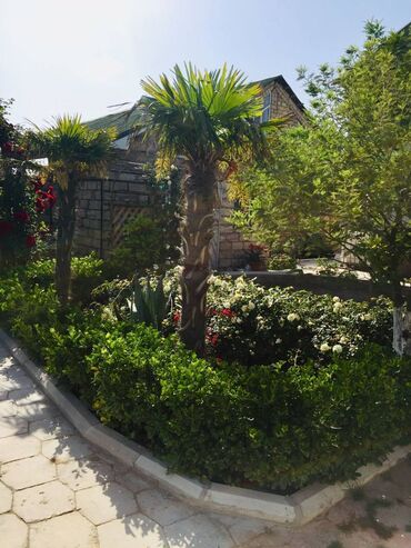 Bağ evlərinin kirayəsi: 100 kv. m, 2 otaqlı, Hovuzsuz — 18