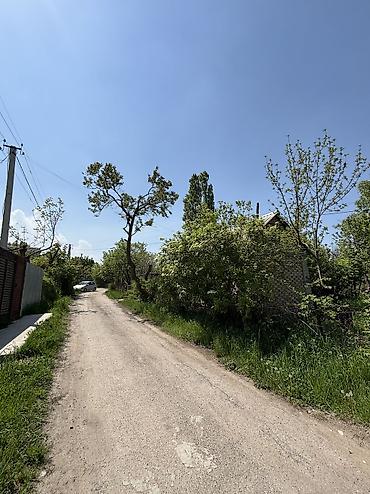 бир: 5 соток, Курулуш, Кызыл китеп — 5