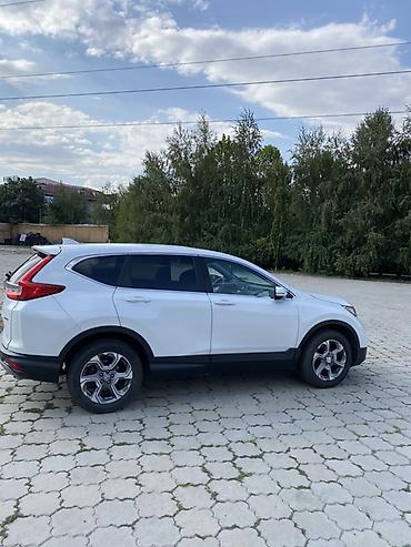хонда crv 2019: Honda CR-V: 2019 г., 1.5 л, Вариатор, Бензин, Кроссовер — 3