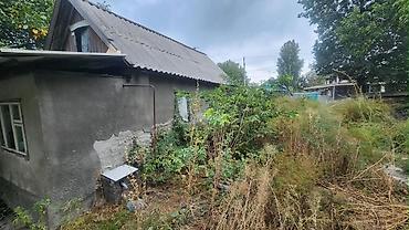 Продажа участков: 16 соток, Красная книга, Тех паспорт, Договор купли-продажи — 3