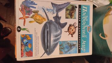 Иностранные языки: Учебники Solutions все по 100, кроме двух частей книг Solutions Upper — 20