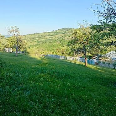 Torpaq sahələrinin satışı: Tikinti — 4