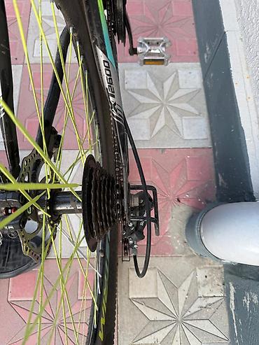 İdman velosipedləri: STRIM dağ velosipedi - Çərçivə: yüngül alaşımlı, idman geometriyası — 3