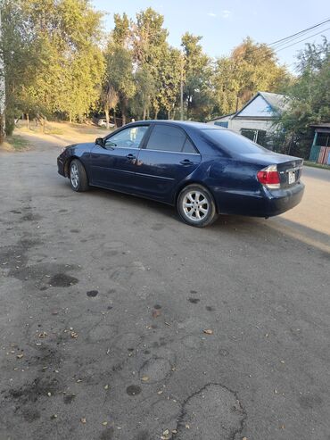 тойота корола 2005: Toyota Camry: 2005 г., 2.4 л, Автомат, Бензин, Седан