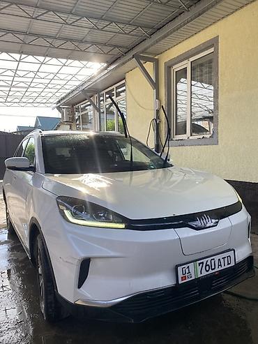 BYD: BYD : 2020 г., Электромобиль, Кроссовер — 11