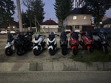 Скутеры: Модели скутеров в продаже за налику: Samurai 150 куб Maxi 150 куб — 9
