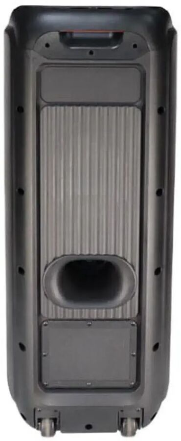 seckalica za povrce lidl: Brand: Microlab Model: MICROLAB Microlab PT1000W karaoke zvučnik 320W