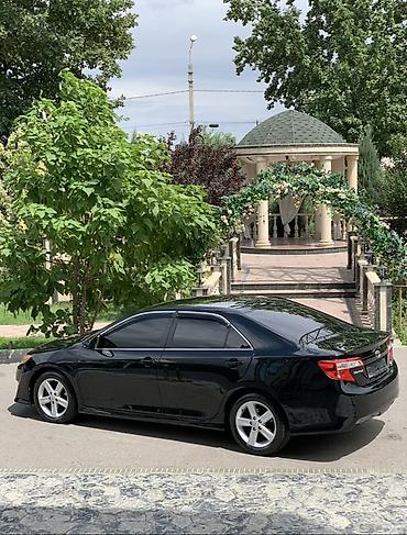 Toyota: Toyota Camry: 2013 г., 2.5 л, Автомат, Бензин, Седан — 4