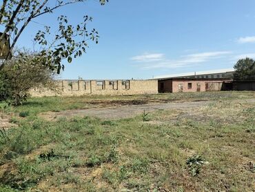 Torpaq sahələrinin satışı: Təcili. 1 hektar ərazisi olan kupçalı, dəyərindən qat-qat ucuz — 5