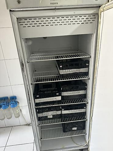 продам холодильник: Промышленные холодильные шкафы POLAIR, однодверные. Основные — 2