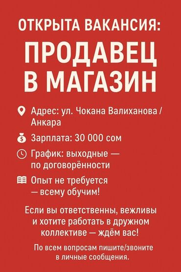 подработка с ежедневной оплатой: Вакансия продавца в магазин. Опыт работы не требуется, предусмотрено