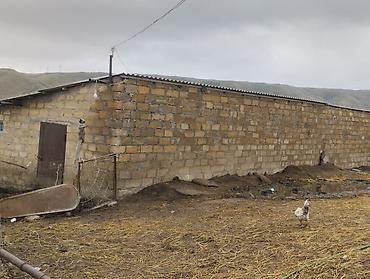 4 otaqlı kiraye evler: Ferma kompleksi – mal-qara saxlanışı üçün hazır infrastruktur - Geniş — 8