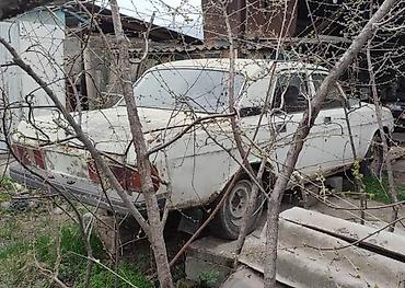 31029: ГАЗ 31029 Volga: 1995 г., Механика, Бензин — 2