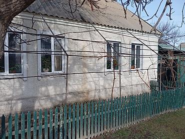 Деревянные штакетники: Деревянные штакетники, Покраска забора — 1