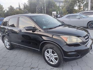 lend cruizer: Honda CR-V: 2009 г., 2.4 л, Автомат, Бензин, Кроссовер — 6