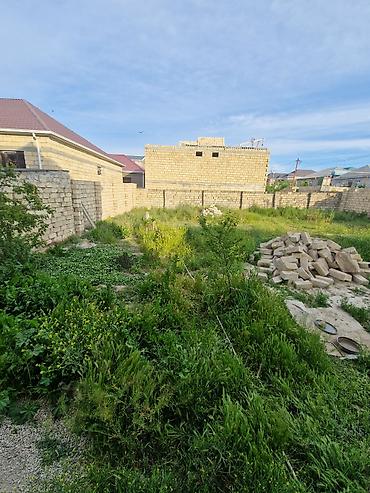 əmlak satışı: 4 sot, Tikinti, Mülkiyyətçi, Bələdiyyə — 3
