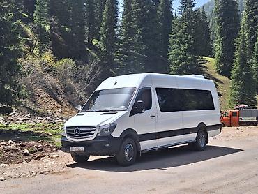 мт3 80: Mercedes-Benz Sprinter (длинная база, высокий крыша) с — 5