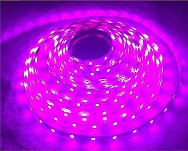 retro luster: LJUBIČASTA USB LED TRAKE 5V 60 DIODA/M | *Ove LED trake možete — 9