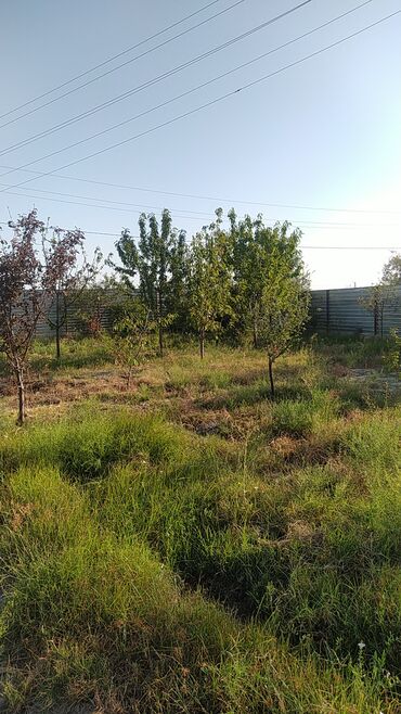Torpaq sahələrinin satışı: 9 sot, Tikinti, Mülkiyyətçi, Kupça (Çıxarış)