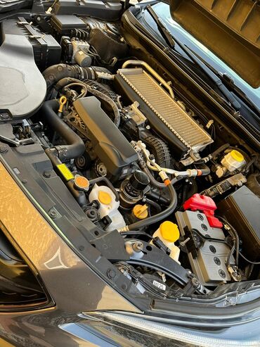 Subaru: Subaru Outback: 2020 г., 2.4 л, Автомат, Бензин, Универсал — 9