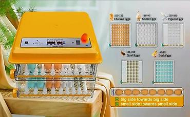 hayvan satış: Yeni tam avtomatik inkubator 120 yumurta.Akumlyator 12V qoşulma — 6