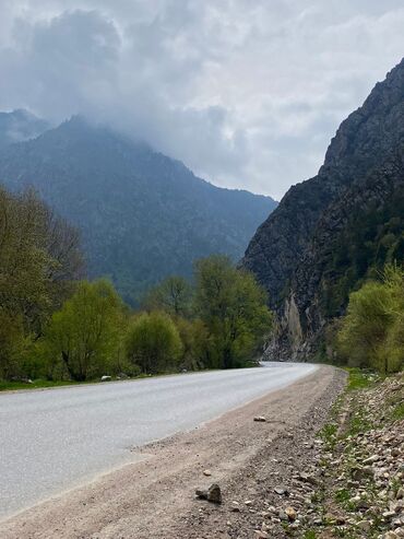 орук алабыз: Пилю Дерево 🌲 деревья Дарак кыркабыз Отун алабыз Пилим забираем