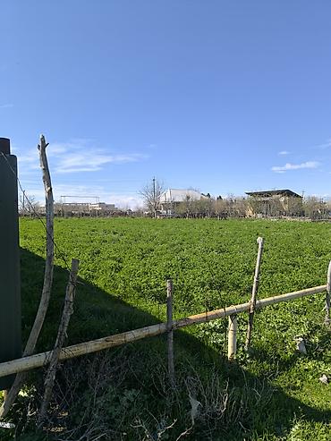 Torpaq sahələrinin satışı: Tikinti — 8