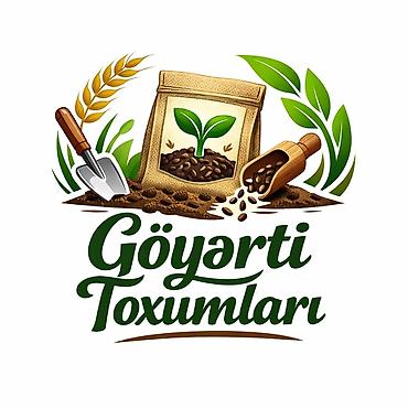 Göyərti toxumları – 4 Mövsüm çeşidli paketlər Məhsul təsviri: - lalafo.az -da Göyərti toxumları – 4 Mövsüm çeşidli paketlər Məhsul təsviri: -