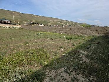 samaxi cuxuryurd torpaq: 8 sot, Tikinti, Mülkiyyətçi, Kupça (Çıxarış) — 2