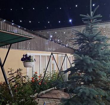 garden hotel: Гостевой дом с уютным двором и комнатами - Зеленый, ухоженный — 4
