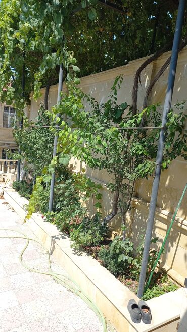 Həyət evləri və villaların satışı: Qaraçuxur qəs. 8 otaq, 220 kv. m, Kredit var, Orta təmir — 9