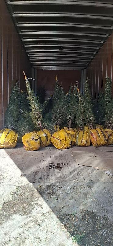 Услуги портера: Грузоперевозки🔄бишкек каракол север юг балыкчы. | боконбай — 3