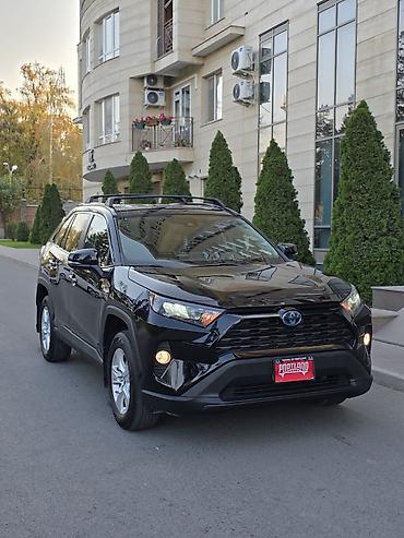 Toyota: Toyota RAV4: 2019 г., 2.5 л, Вариатор, Гибрид, Кроссовер at lalafo.kg — 23 Toyota: Toyota RAV4: 2019 г., 2.5 л, Вариатор, Гибрид, Кроссовер — 23