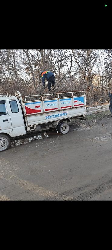 навал: Грузоперевозки на Hyundai Porter (самосвал) - Перевозка грузов по — 8