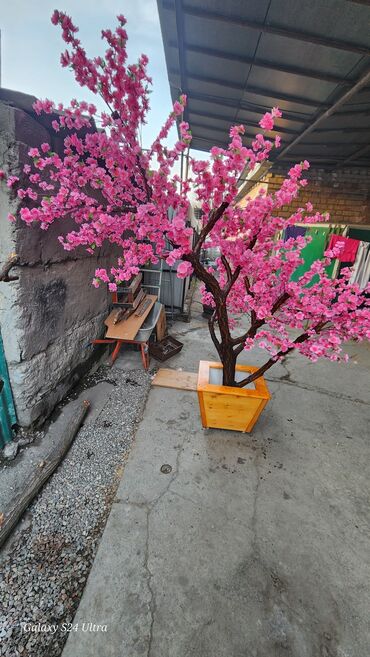 Декоративные цветы: Сакура искусственное дерево высота 2 м ширина 2 м цена от 1000 сом at lalafo.kg — 4 Декоративные цветы: Сакура искусственное дерево высота 2 м ширина 2 м цена от 1000 сом — 4