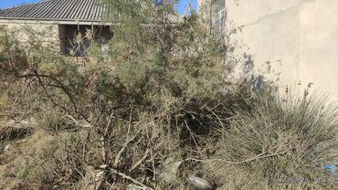 Torpaq sahələrinin satışı: 2500 sot, Tikinti, Makler, Bələdiyyə -da lalafo.az — 6 Torpaq sahələrinin satışı: 2500 sot, Tikinti, Makler, Bələdiyyə — 6