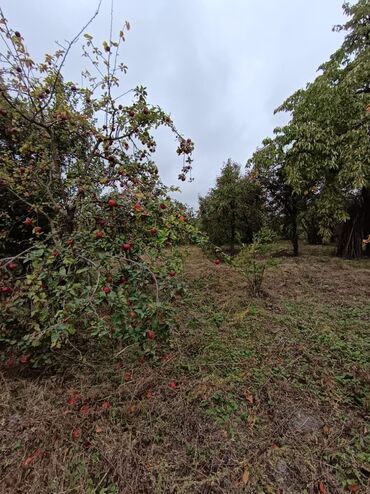 Bağ evlərinin satışı: Alekseevka, 30 kv. m, 15 otaq, Su — 16