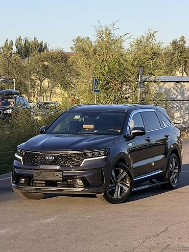 100: Kia Sorento: 2020 г., 1.6 л, Автомат, Гибрид, Кроссовер — 1