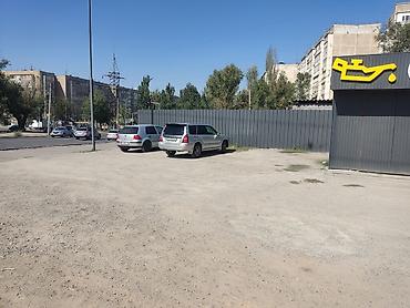 nomad transfer: Продаются: Замена масла моторного масла и фильтров для легковых — 2
