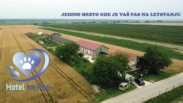 Psi: Hotel za pse Ideal Da li planirate putovanje, posao ili odmor, a ne — 10