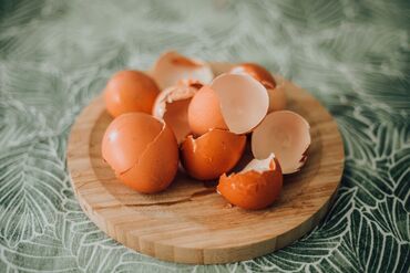 Молочные продукты и яйца: Принимаем яичные скорлупы в любом большом объёме