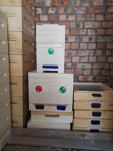 ППУ - пенополиуретан: Полиуретановые ульи для пчеловодства - Материал: литой ППУ — 3