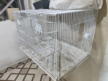 cane corso qiyməti: İki bölümlü qəfəslər quşlar satmışam 5 ədəd qəfəs qalıb. agıllı yem — 7