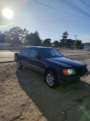 deu labo: Mercedes-Benz W124: 1992 г., 2 л, Автомат, Бензин, Седан — 4